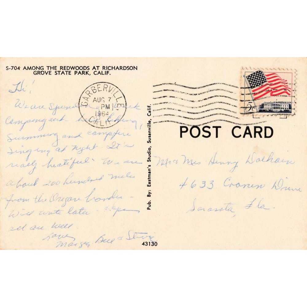 Vintage Richardson Grove State Park California Redwood Forest Postcard 1964 VG - Picture 2 of 2